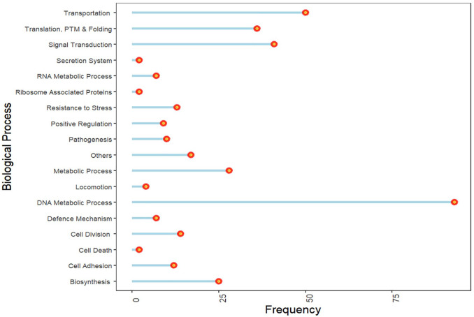 Identification and Functional Annotation of Hypothetical Proteins of Pan-Drug-Resistant <i>Providencia rettgeri</i> Strain MRSN845308 Toward Designing Antimicrobial Drug Targets.