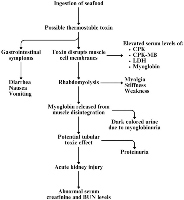 Haff disease: overview and clinical features.
