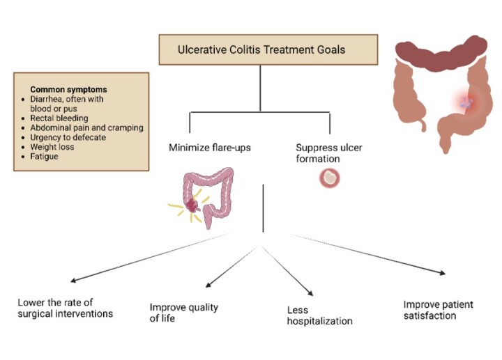 Current Pharmacologic Options and Emerging Therapeutic Approaches for the Management of Ulcerative Colitis: A Narrative Review.