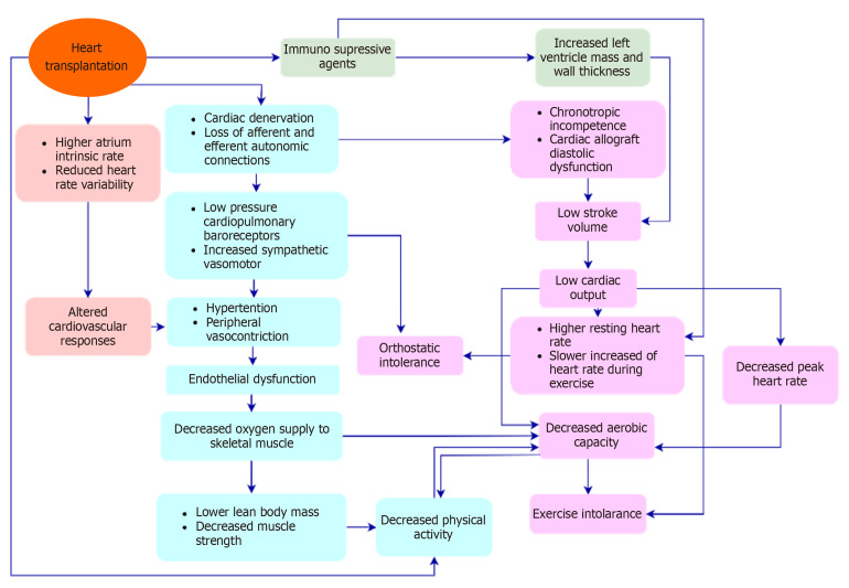 Exercise as a modality to improve heart transplantation-related functional impairments: An article review.