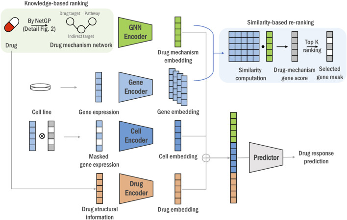 DGDRP: drug-specific gene selection for drug response prediction via re-ranking through propagating and learning biological network.