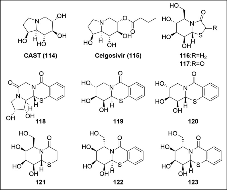 Expanding horizons of iminosugars as broad-spectrum anti-virals: mechanism, efficacy and novel developments