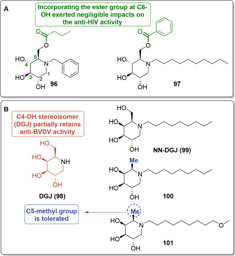 Expanding horizons of iminosugars as broad-spectrum anti-virals: mechanism, efficacy and novel developments
