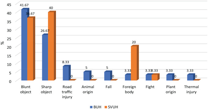 Pattern of eye trauma among pediatric ophthalmic patients in upper and lower Egypt: A prospective two-center medicolegal study.