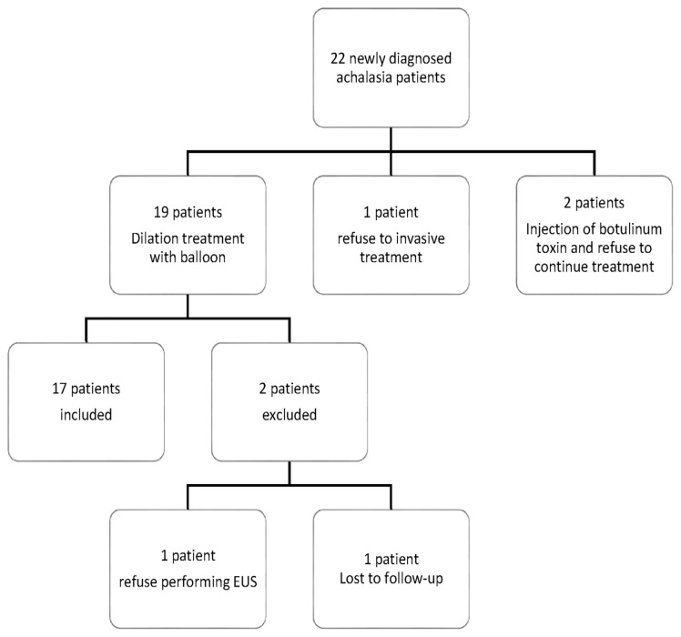Relationship Between Lower Esophageal Sphincter Muscles Thickness and Their Response to Pneumatic Dilation in Patients With Achalasia.