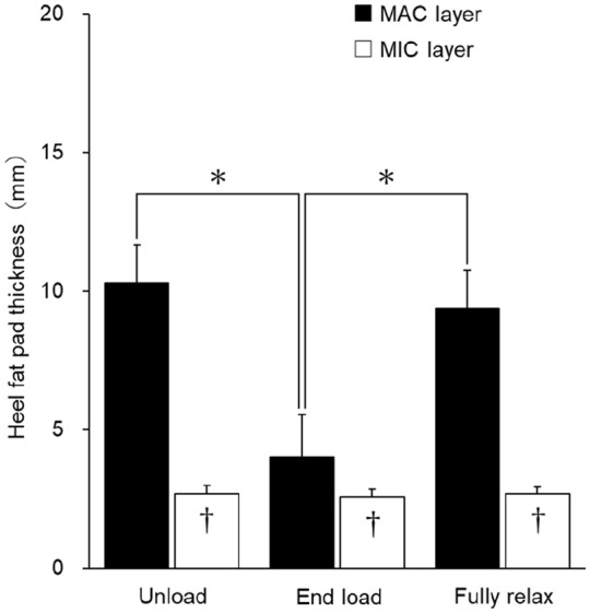 Effect of Height and Weight on Heel Fat Pad Movements Between Microchamber and Macrochamber Layers in Loading and Unloading.