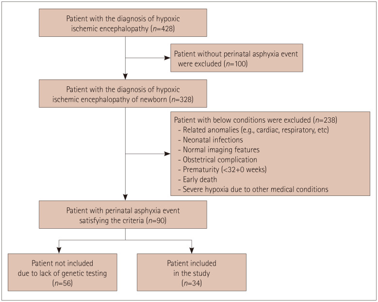 Genetic Diagnosis in Neonatal Encephalopathy With Hypoxic Brain Damage Using Targeted Gene Panel Sequencing.