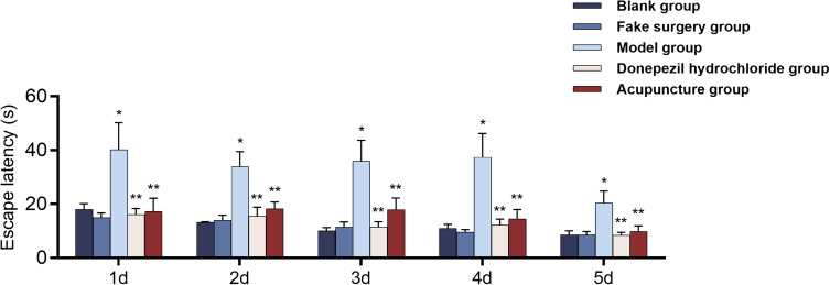Study on the Effects of Acupuncture with the "Yizhi Tiaoshen" Acupoint Formula on Blood Oxygen Metabolism and Neural Function in Key Brain Regions of AD Rats.
