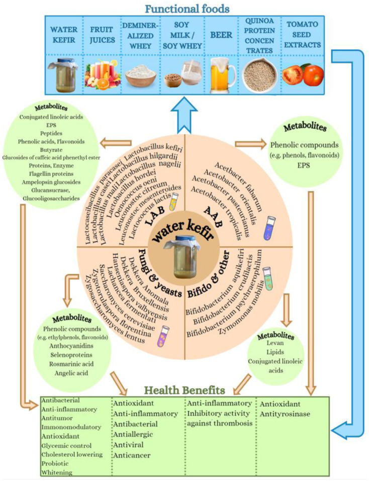Antioxidant and anti-inflammatory properties of water kefir microbiota and its bioactive metabolites for health promoting bio-functional products and applications.