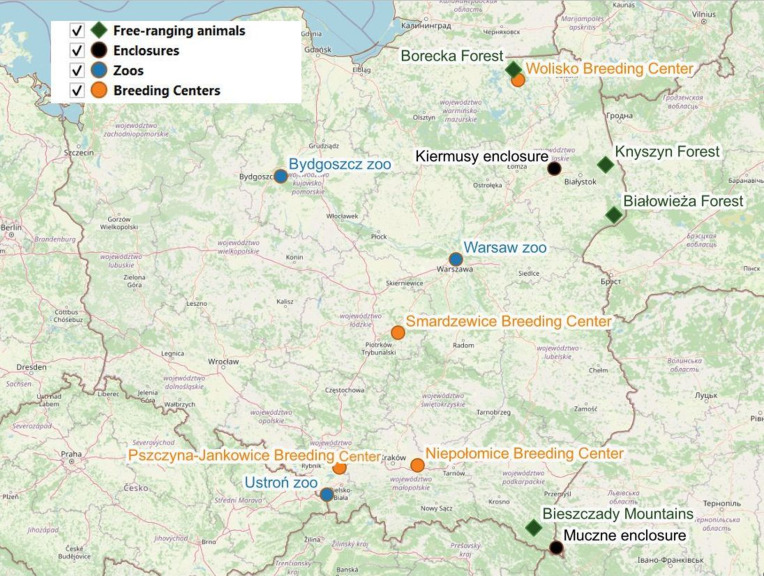 The variety of abomasal nematode communities of captive and free-roaming populations of European bison, <i>Bison bonasus</i> (L.): a morphometric and molecular approach.