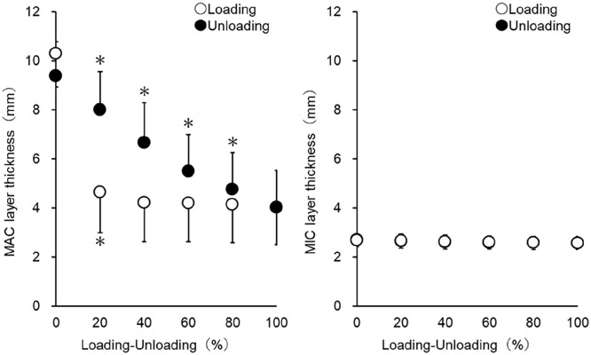 Effect of Height and Weight on Heel Fat Pad Movements Between Microchamber and Macrochamber Layers in Loading and Unloading.