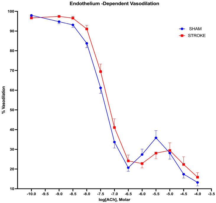 Impaired Peripheral Vascular Function Following Ischemic Stroke in Mice: Potential Insights into Blood Pressure Variations in the Post-Stroke Patient.