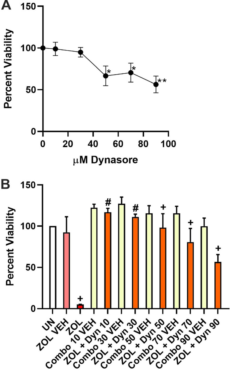 The dynamin inhibitor, dynasore, prevents zoledronate-induced viability loss in human gingival fibroblasts by partially blocking zoledronate uptake and inhibiting endosomal acidification.