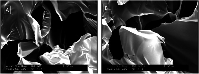 Cartilage defect repair in a rat model via a nanocomposite hydrogel loaded with melatonin-loaded gelatin nanofibers and menstrual blood stem cells: an in vitro and in vivo study