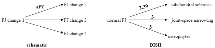 Distinct characteristics and progression patterns of facet joint structural lesions in radiographic axial spondyloarthritis.