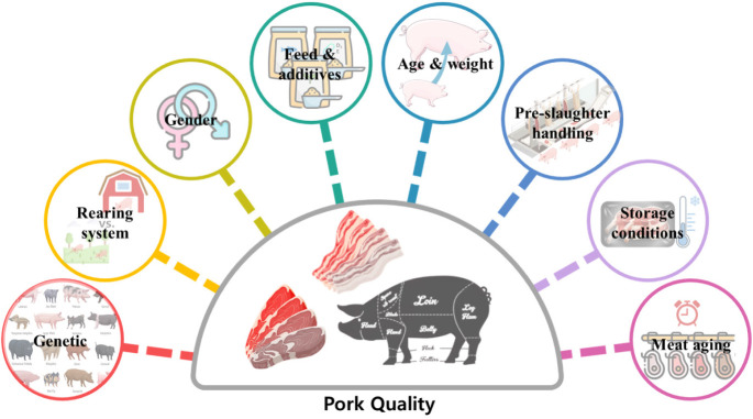 Exploring the multifaceted factors affecting pork meat quality.