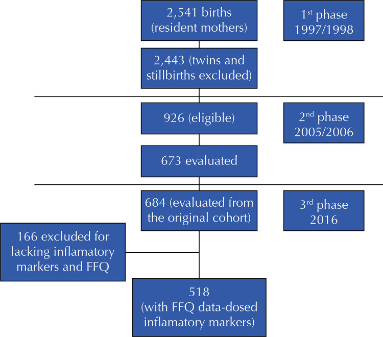 Dietary inflammatory index and inflammatory markers in Brazilian adolescents.