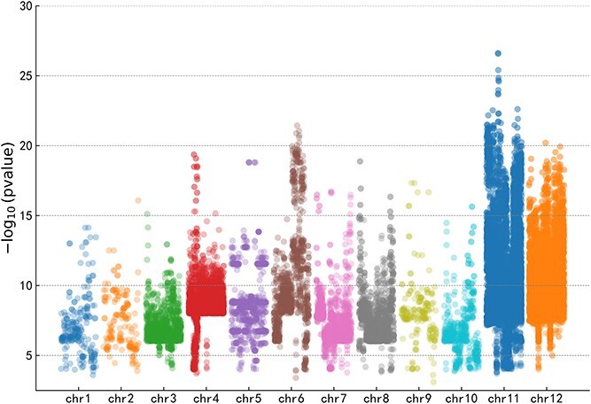RiceSNP-BST: a deep learning framework for predicting biotic stress-associated SNPs in rice.