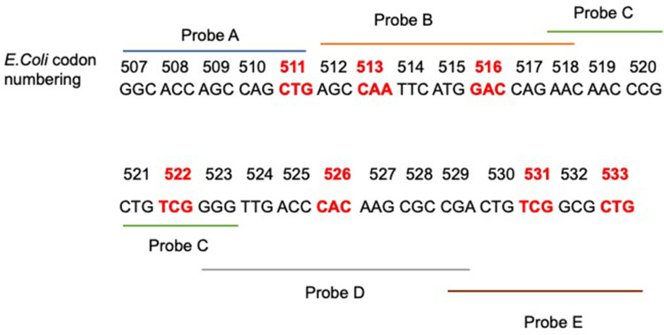 Comparison of Nucleotide MALDI-TOF MS with Xpert MTB/RIF for Rifampicin Susceptibility Identification and Associated Risk Factors of Rifampicin Resistance Among Drug Resistant <i>Mycobacterium tuberculosis</i>.