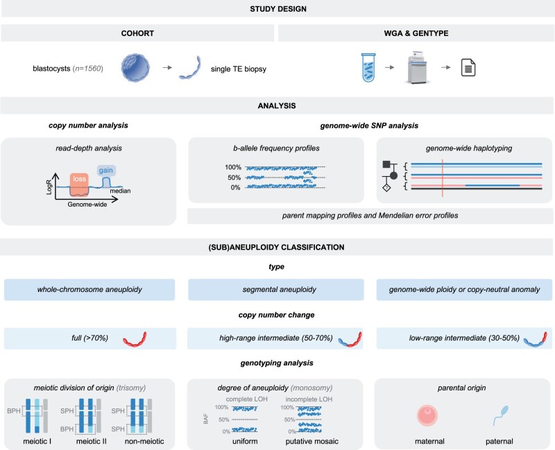 Aligning genotyping and copy number data in single trophectoderm biopsies for aneuploidy prediction: uncovering incomplete concordance.