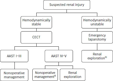 Renal embolization for trauma: a narrative review.
