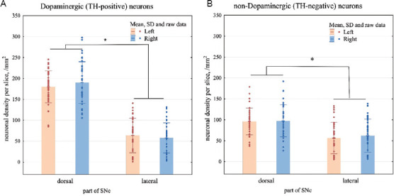 The neuronal density in the rostral pole of substantia nigra pars compacta in Wistar Albino rats from Rijswijk rats: A link to spike-wave seizures.