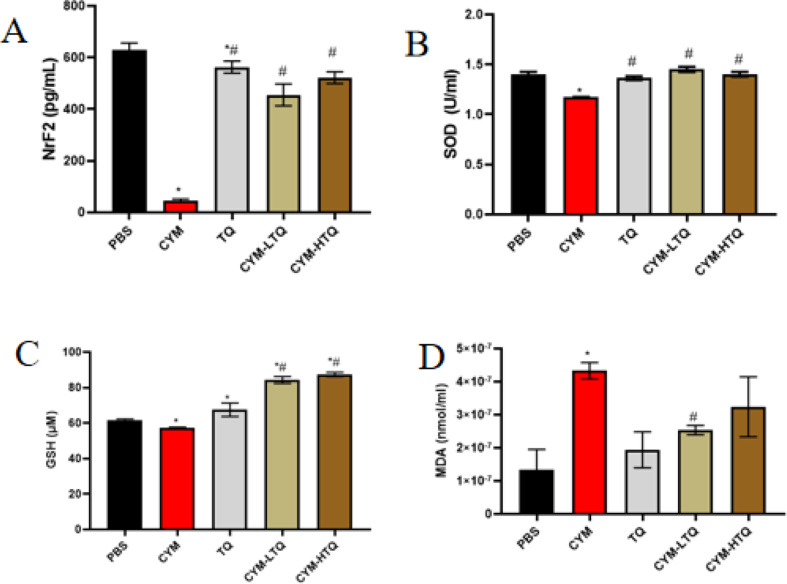 Thymoquinone ameliorate oxidative stress, GABAergic neuronal depletion and memory impairment through Nrf2/ARE signaling pathway in the dentate gyrus following cypermethrin administration.