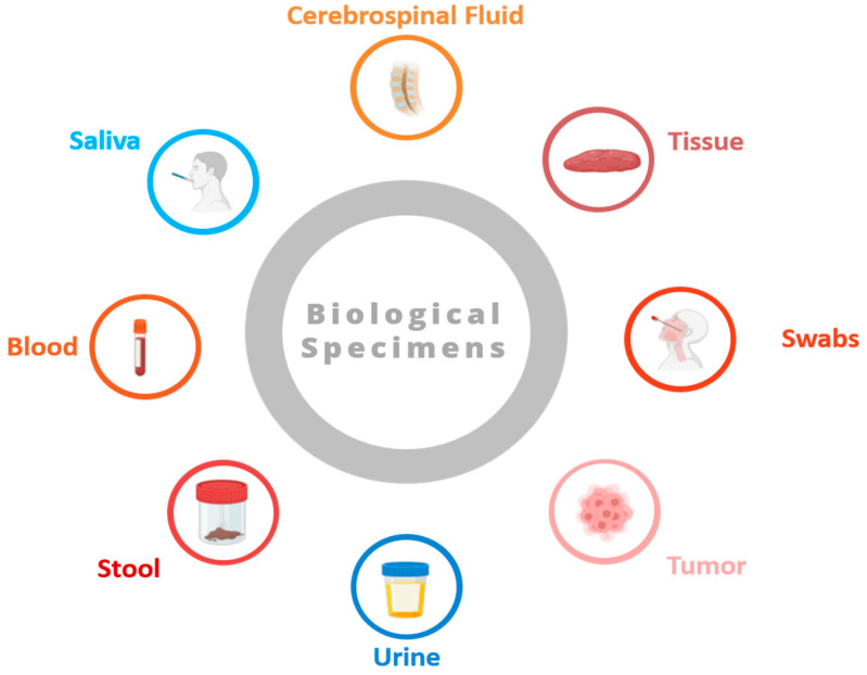 Data Management in Biobanking: Strategies, Challenges, and Future Directions.