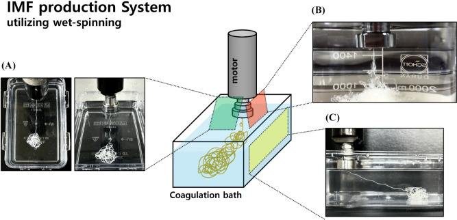 Development and Comparative Evaluation of Imitated Fiber from Different Protein Sources Using Wet-Spinning.