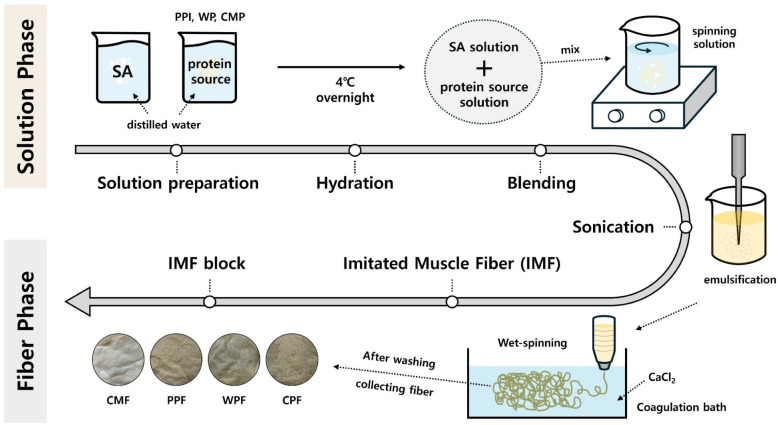 Development and Comparative Evaluation of Imitated Fiber from Different Protein Sources Using Wet-Spinning.