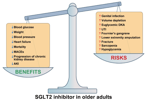 Benefit and Safety of Sodium-Glucose Co-Transporter 2 Inhibitors in Older Patients with Type 2 Diabetes Mellitus.