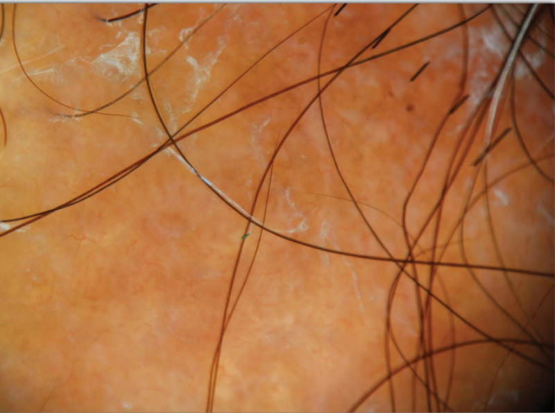Abstract Image