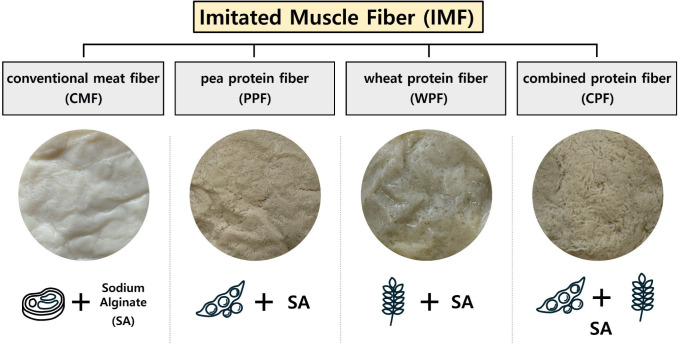 Development and Comparative Evaluation of Imitated Fiber from Different Protein Sources Using Wet-Spinning.
