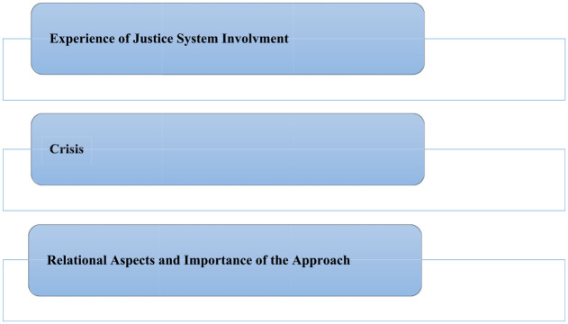 Exploring Social Interactions in the Context of Justice System Involvement: Perspectives of Patients and Psychiatric Nurses.