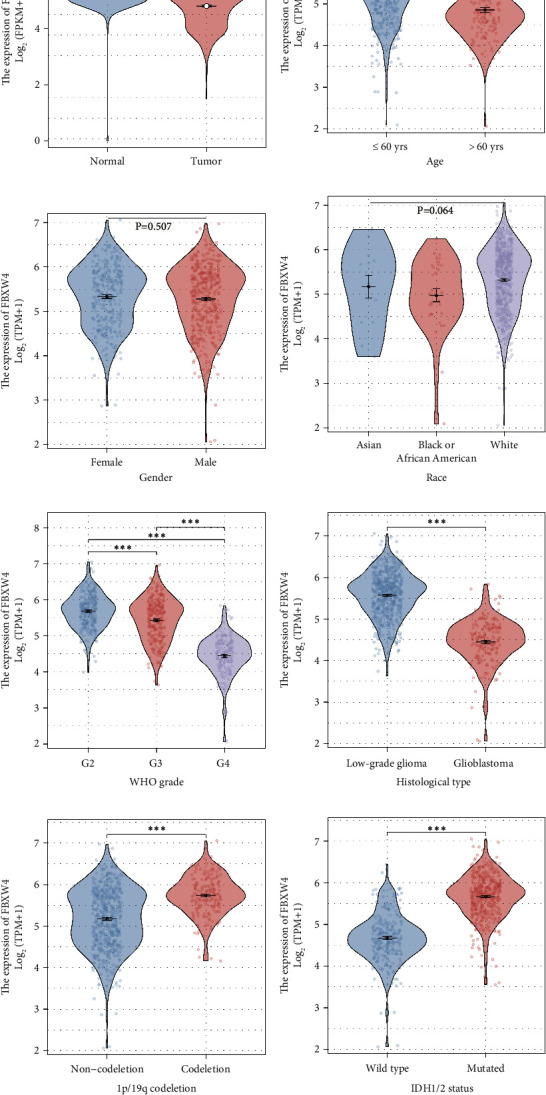 Pivotal Role of FBXW4 in Glioma Progression and Prognosis.