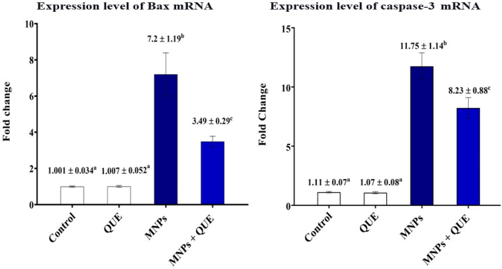 Quercetin diminishes the apoptotic pathway of magnetite nanoparticles in rats' ovary: Antioxidant status and hormonal profiles.