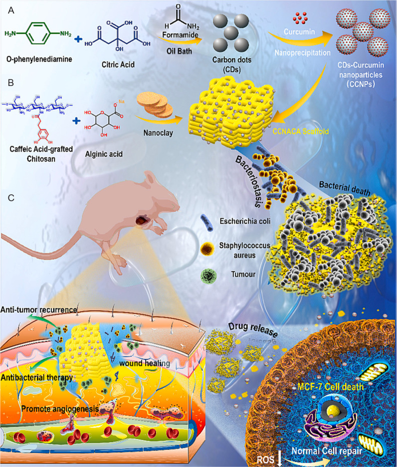 The potential of three-dimensional printed stents in post-operative treatment of breast cancer.