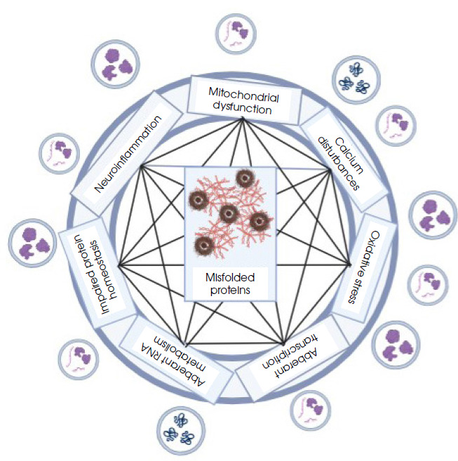 Secretome - the role of extracellular vesicles in the pathogenesis and therapy of neurodegenerative diseases.
