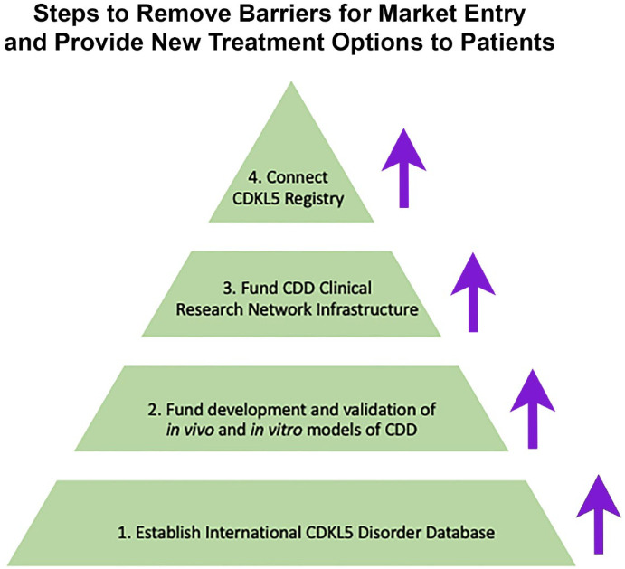 The small steps that lead to big impact: translating therapeutics from idea to reality for the CDKL5 deficiency disorder community.