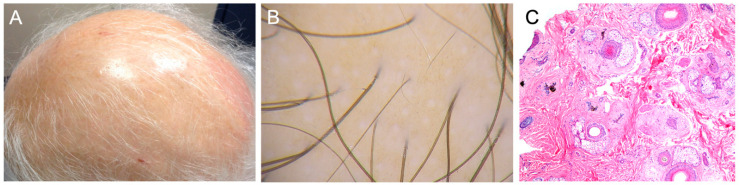 Abstract Image
