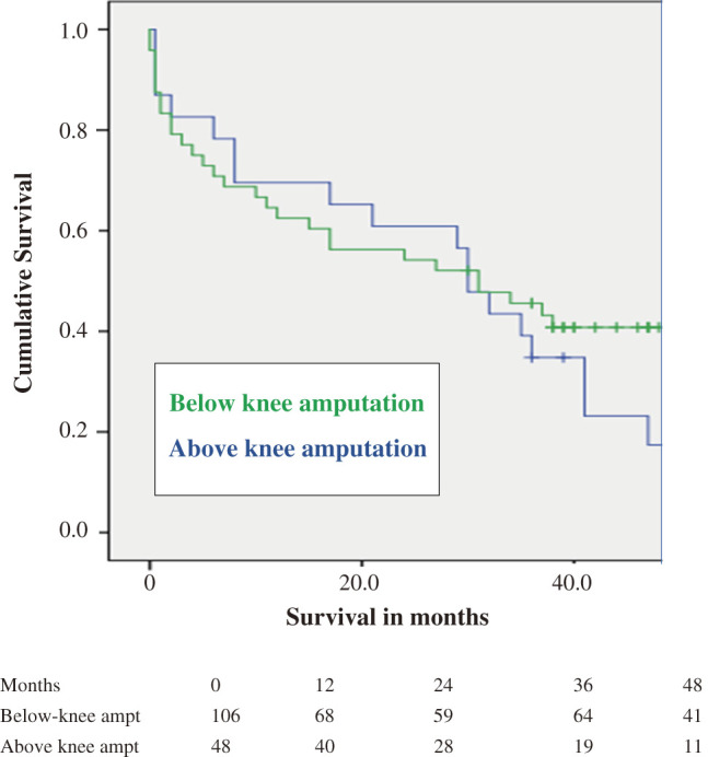Major Lower Limb Amputation for Chronic Limb-Threatening Ischemia Is Associated with Poor Long-Term Survival: 4-Year Follow-Up of a Single-Center Experience.