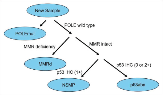 The prognostic implication of polymerase epsilon-mutated endometrial cancer.