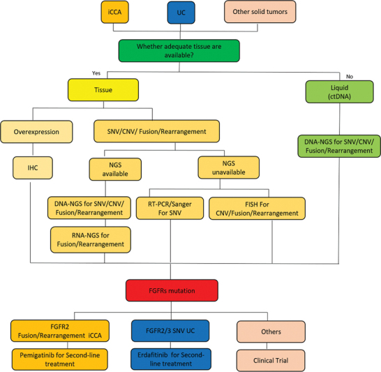 Expert Consensus on the Diagnosis and Treatment of FGFR Gene-Altered Solid Tumors.