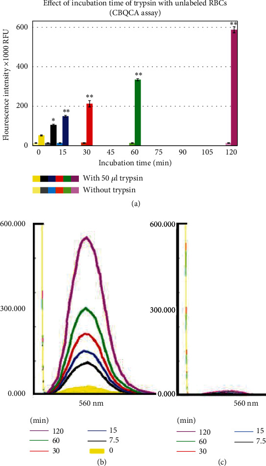 Proteolysis Assays With Conserved or Aminofluorescein-Labeled Red Blood Cells.
