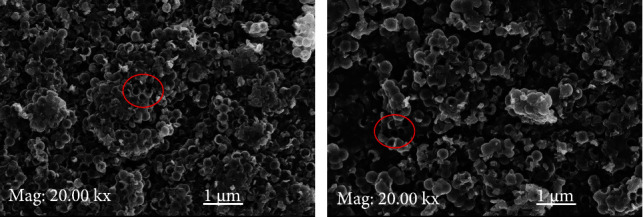 Development of the Pipette-Tip Micro-Solid-Phase Extraction for Extraction of Rutin From <i>Moringa oleifera</i> Lam. Using Activated Hollow Carbon Nanospheres as Sorbents.