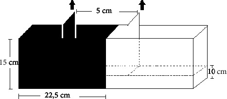 Effects of Low Concentration of Glyphosate-Based Herbicide on Genotoxic, Oxidative, Inflammatory, and Behavioral Meters in <i>Danio rerio</i> (Teleostei and Cyprinidae).