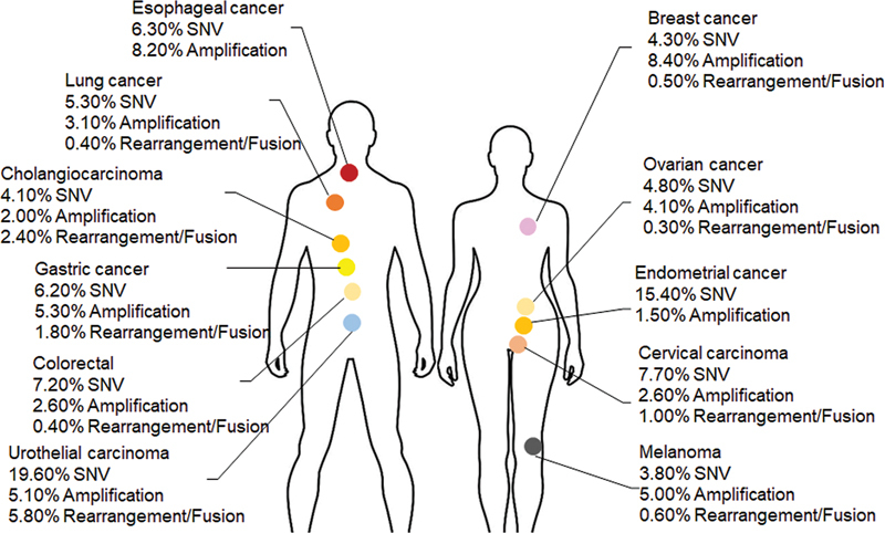 Expert Consensus on the Diagnosis and Treatment of FGFR Gene-Altered Solid Tumors.
