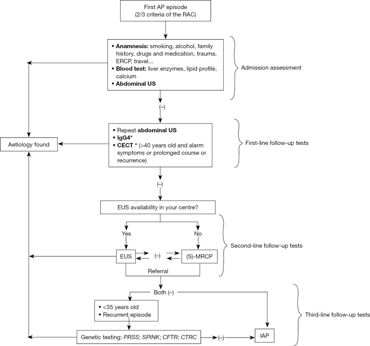 Idiopathic acute pancreatitis (IAP)-a review of the literature and algorithm proposed for the diagnostic work-up of IAP.