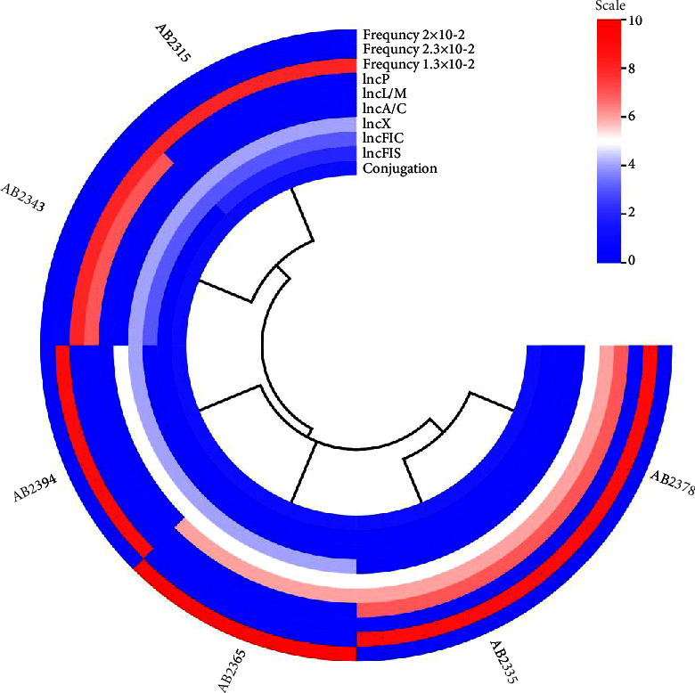 Phenotypic and Molecular Characterization of Hypervirulent and Multidrug-Resistant <i>Acinetobacter baumannii</i> Isolated from ICU Respiratory Infections.