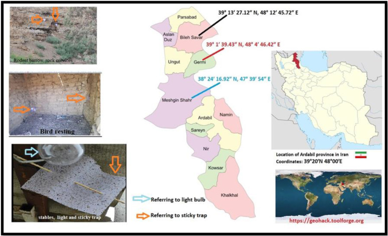 Discrimination of <i>Phlebotomus perfiliewi transcaucasicus</i>, <i>Ph. major</i> sensu lato and <i>Ph. tobbi</i> (Diptera: Psychodidae) Using Morphometric and DNA Barcoding Methods in the Endemic Foci of Visceral Leishmaniasis in Ardabil Province, North West of Iran.